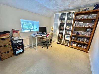 Picture 7